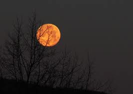 saffrons rule full moon
